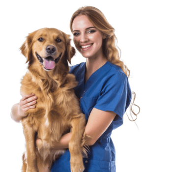 Vet with dog